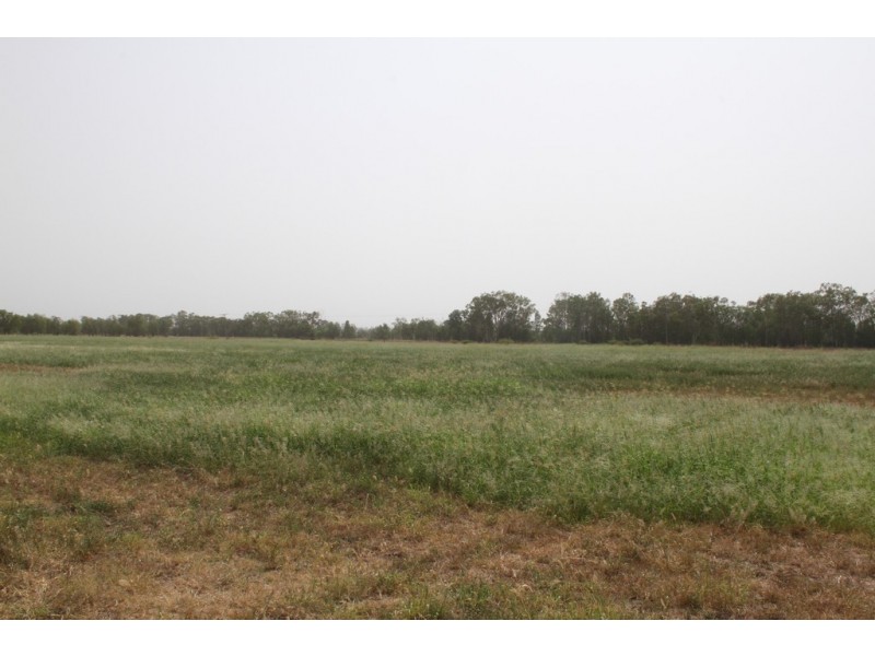 725 DEE RIVER ROAD, Dululu QLD 4702