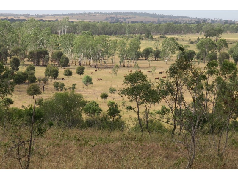 557 BISHOP RD, Garnant QLD 4702
