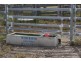 557 BISHOP RD, Garnant QLD 4702