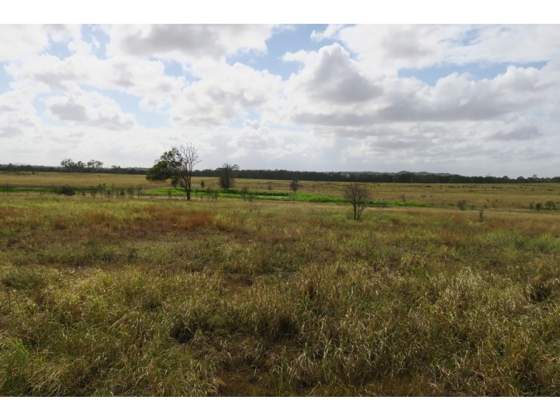 557 BISHOP RD, Garnant QLD 4702