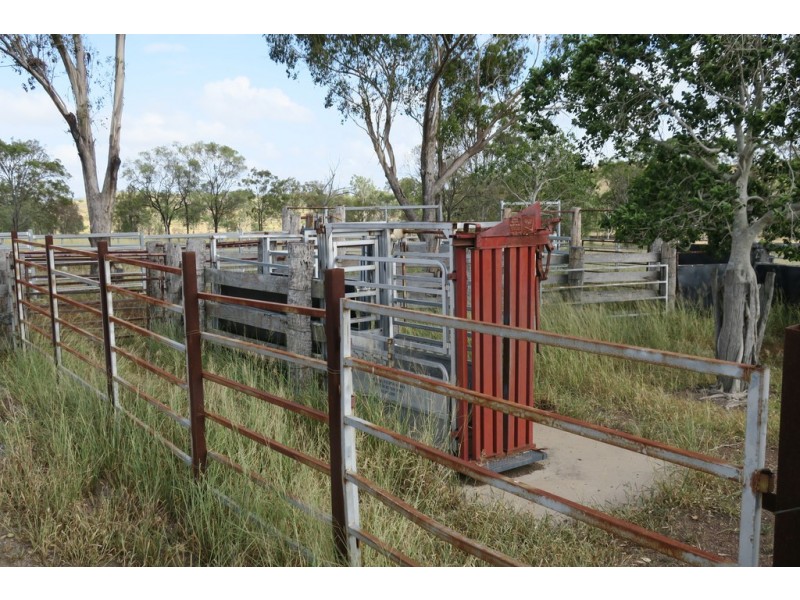 557 BISHOP RD, Garnant QLD 4702