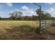557 BISHOP RD, Garnant QLD 4702