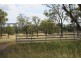 557 BISHOP RD, Garnant QLD 4702