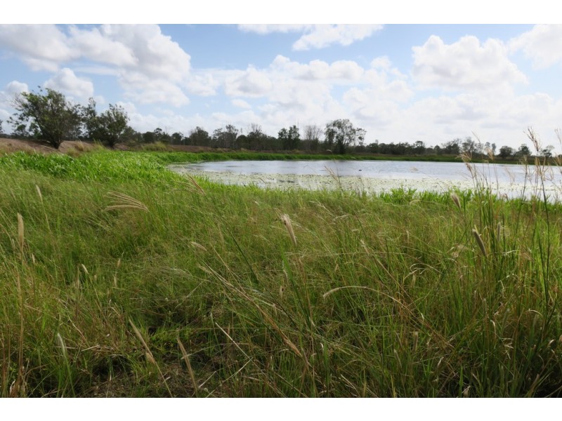 557 BISHOP RD, Garnant QLD 4702