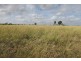 557 BISHOP RD, Garnant QLD 4702