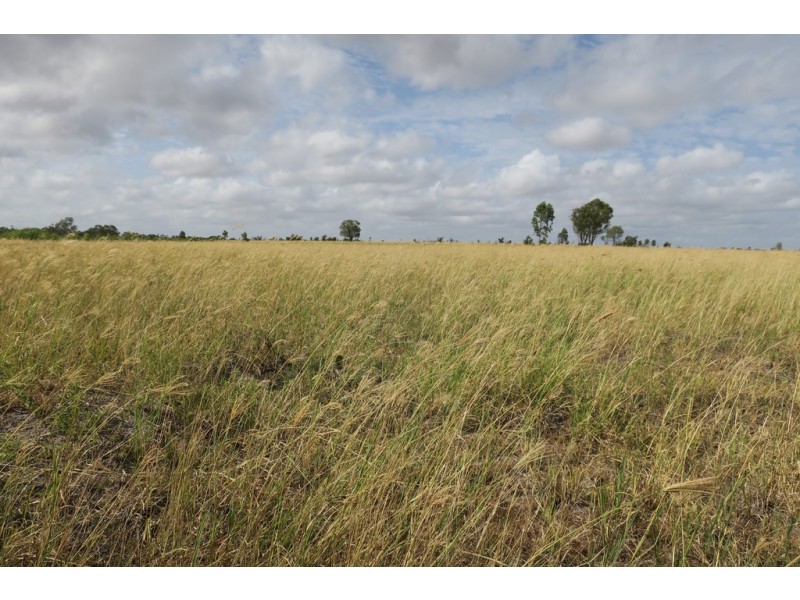 557 BISHOP RD, Garnant QLD 4702