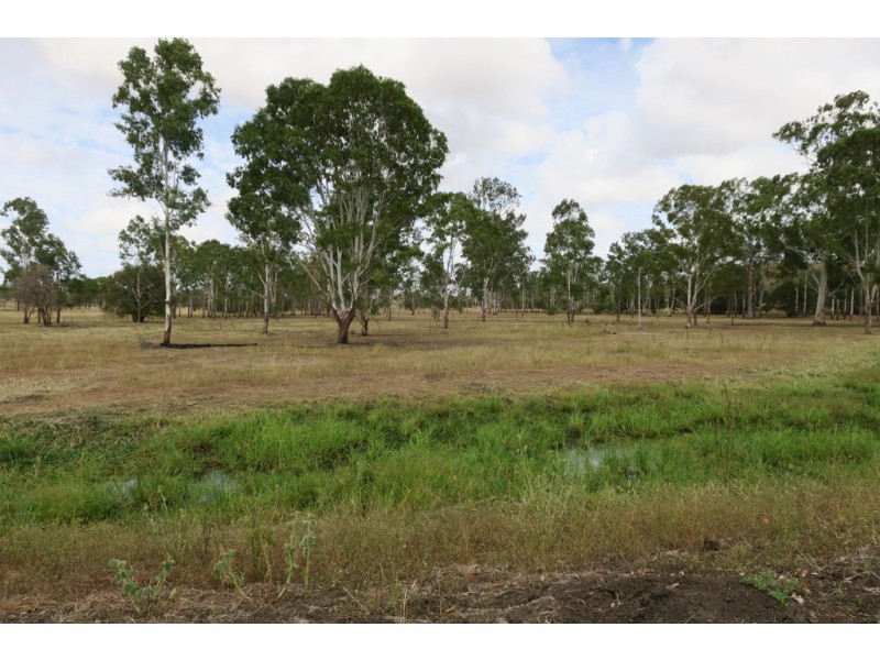 557 BISHOP RD, Garnant QLD 4702