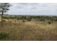 557 BISHOP RD, Garnant QLD 4702