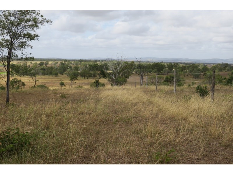 557 BISHOP RD, Garnant QLD 4702