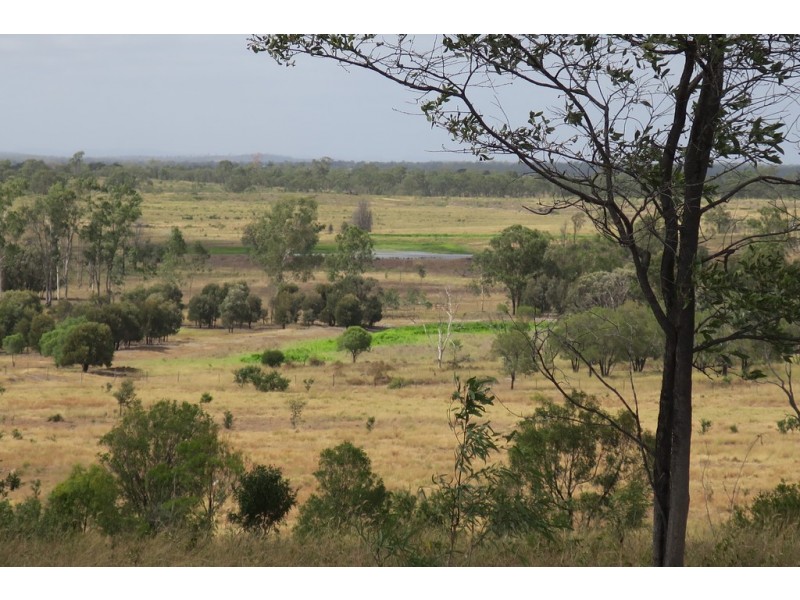 557 BISHOP RD, Garnant QLD 4702