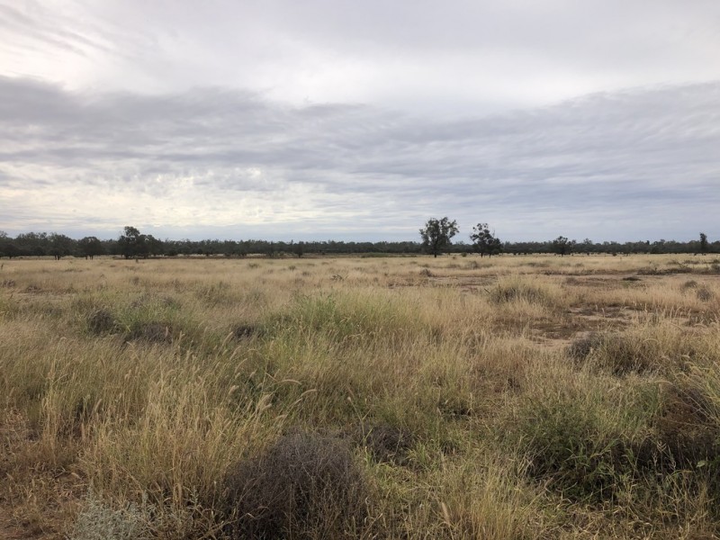 1617 Bundalba Road, Goovigen QLD 4702