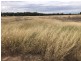 1617 Bundalba Road, Goovigen QLD 4702