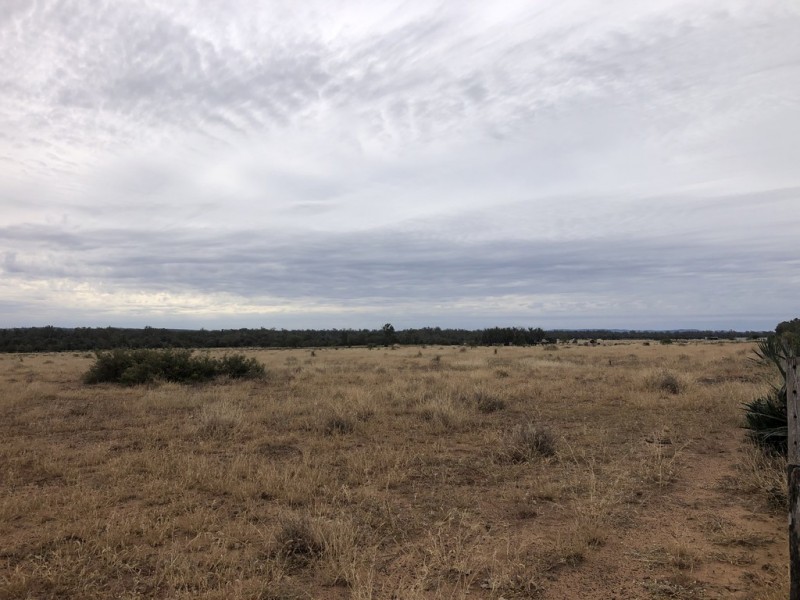 1617 Bundalba Road, Goovigen QLD 4702