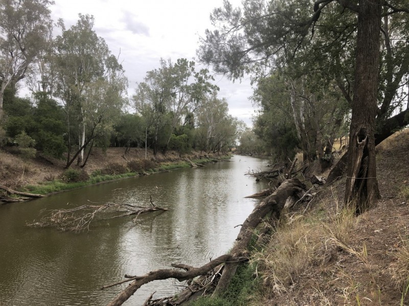 1617 Bundalba Road, Goovigen QLD 4702