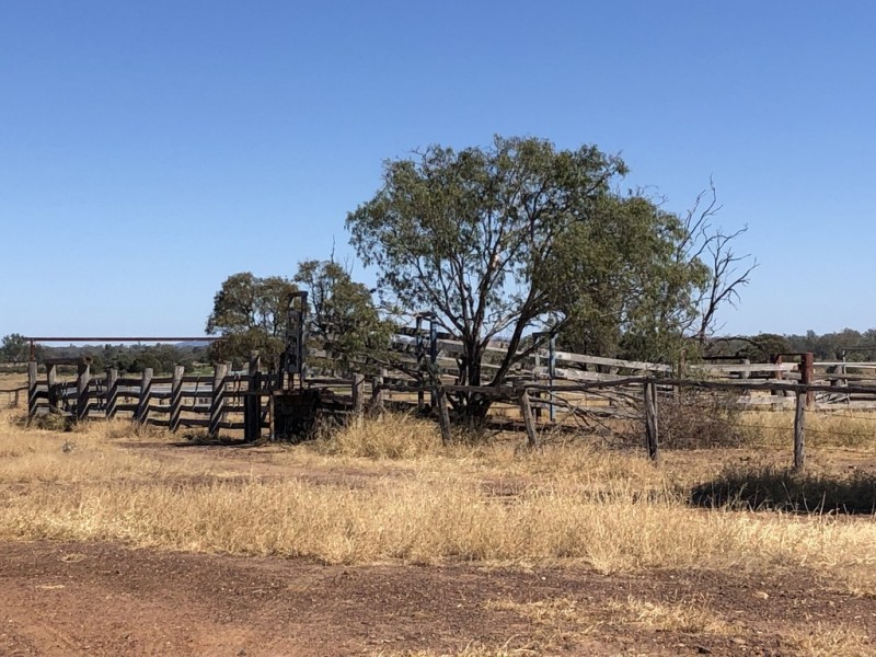 1617 Bundalba Road, Goovigen QLD 4702