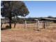 1617 Bundalba Road, Goovigen QLD 4702