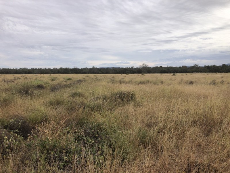 1617 Bundalba Road, Goovigen QLD 4702