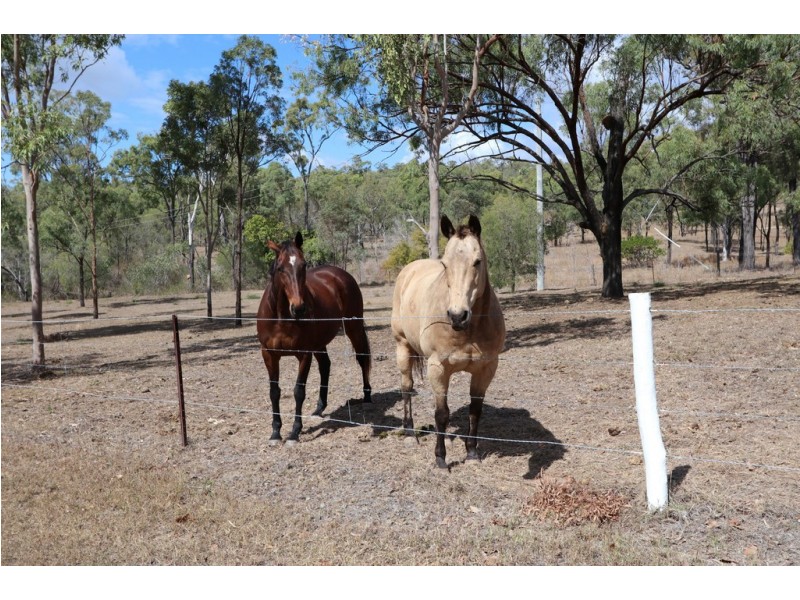 72 CAPORN ROAD, Limestone Creek QLD 4701