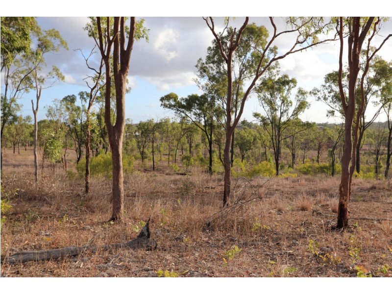 38 Gunder Road, The Caves QLD 4702