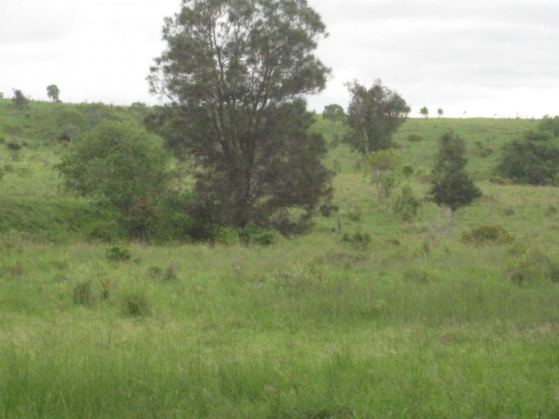 610 North Langmorn Road, Marmor QLD 4702