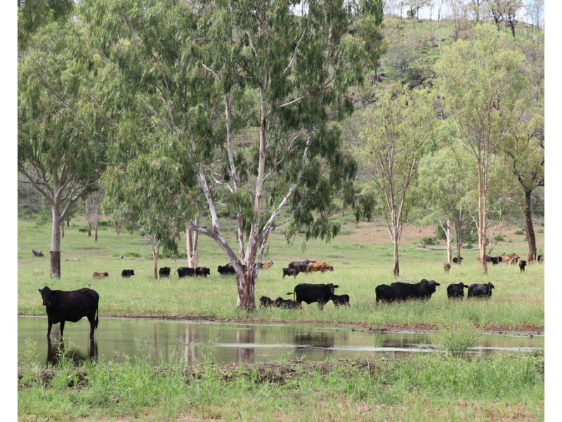 Oakey Creek QLD 4714