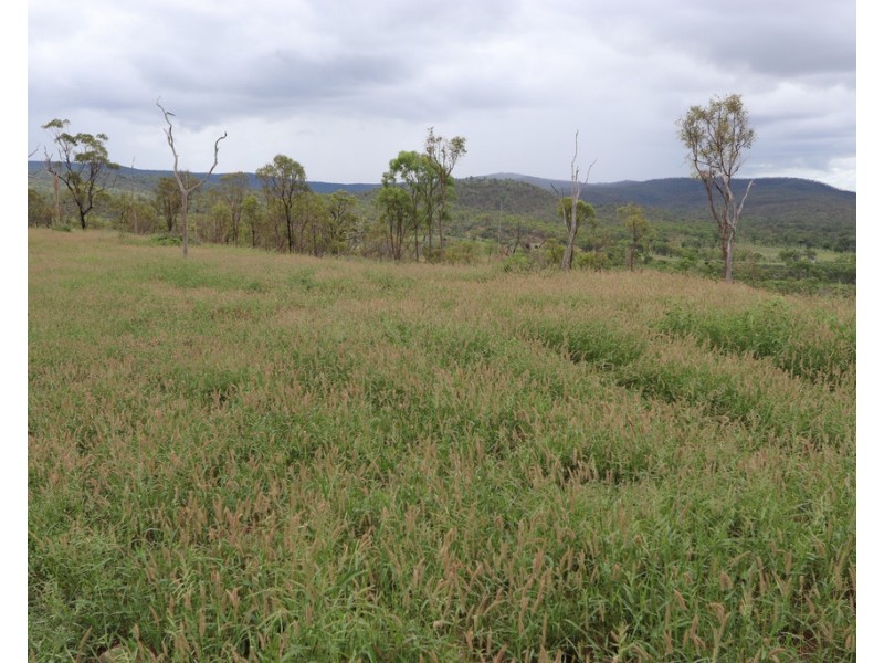 Oakey Creek QLD 4714