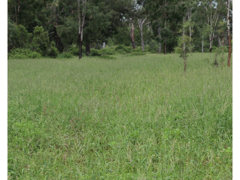 Oakey Creek QLD 4714