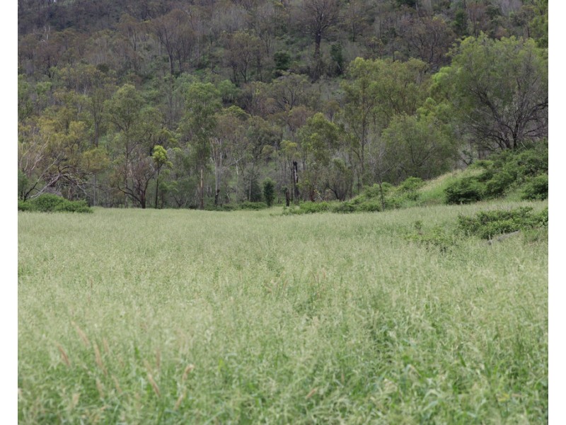 Oakey Creek QLD 4714