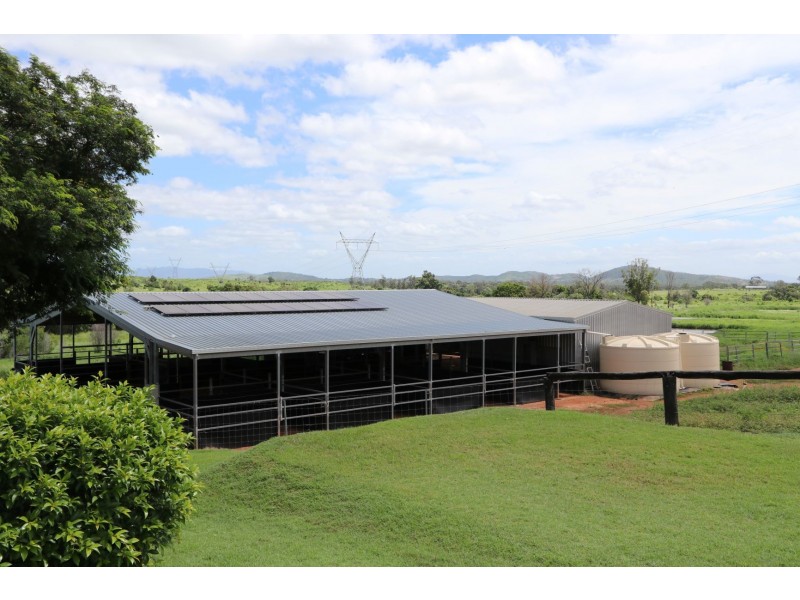 403 NORTH LANGMORN RD, Marmor QLD 4702