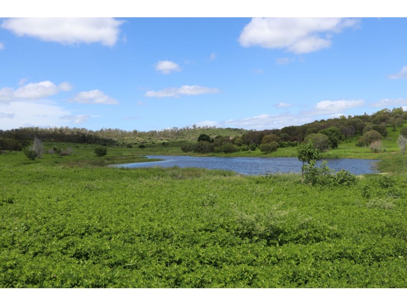 403 NORTH LANGMORN RD, Marmor QLD 4702