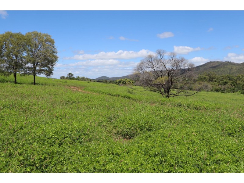 403 NORTH LANGMORN RD, Marmor QLD 4702