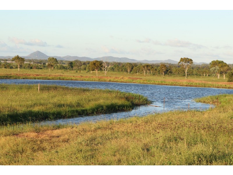 Ridgelands QLD 4702