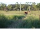 Ridgelands QLD 4702
