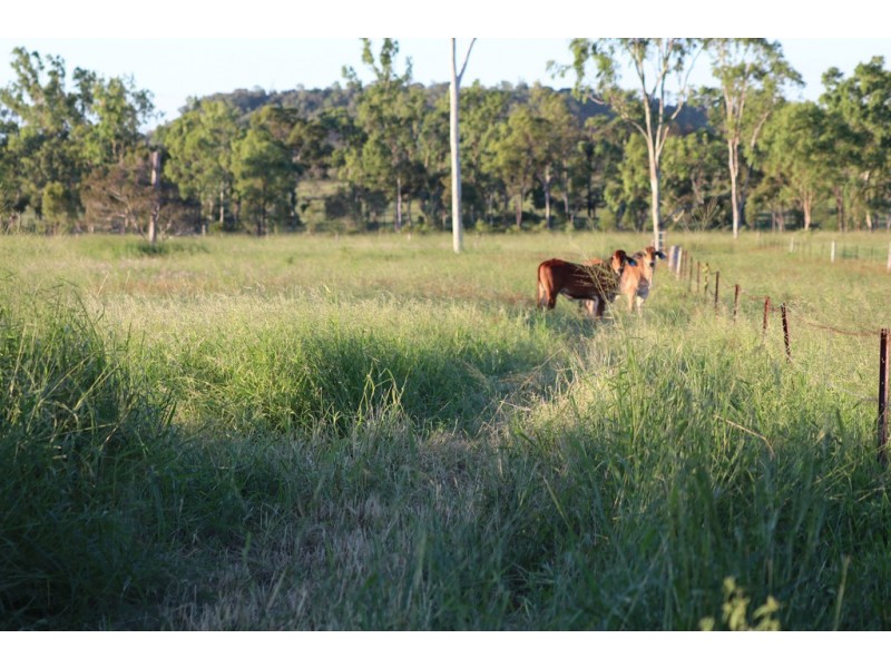 Ridgelands QLD 4702