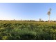 Ridgelands QLD 4702
