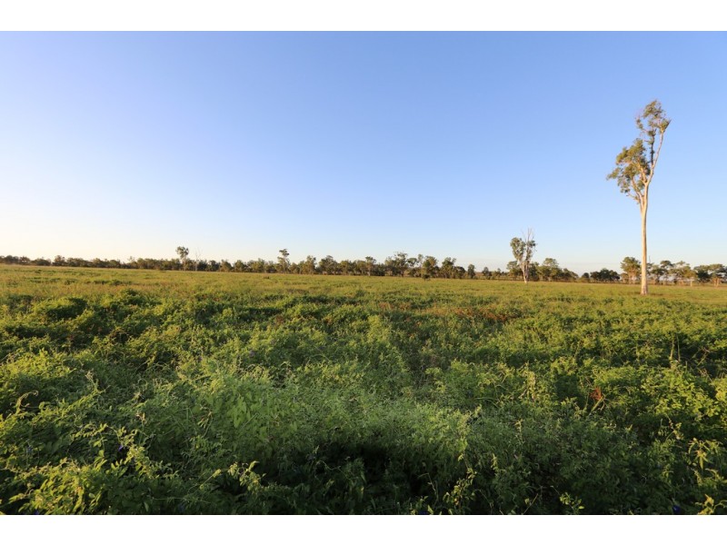 Ridgelands QLD 4702