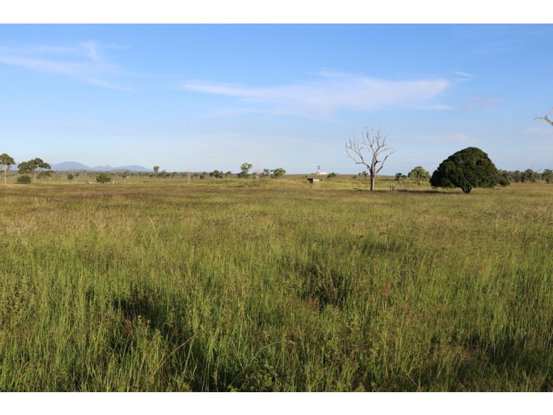 Ridgelands QLD 4702
