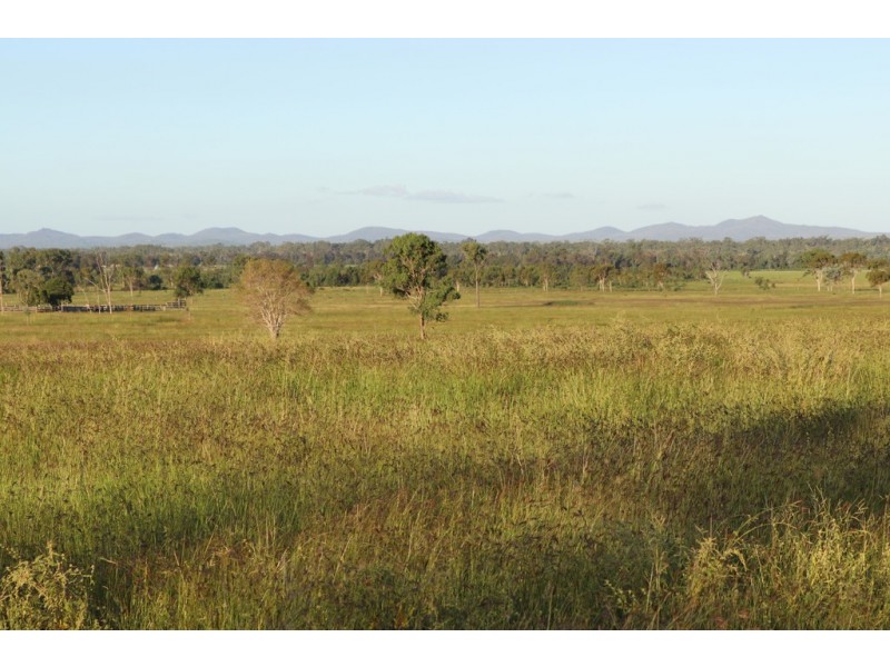Ridgelands QLD 4702