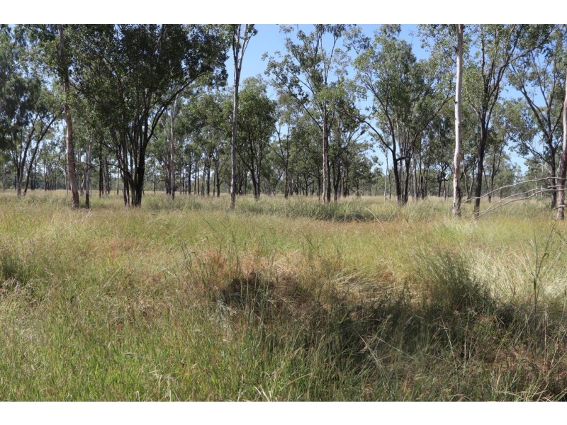 0 SOUTH ULAM RD, Bajool QLD 4699