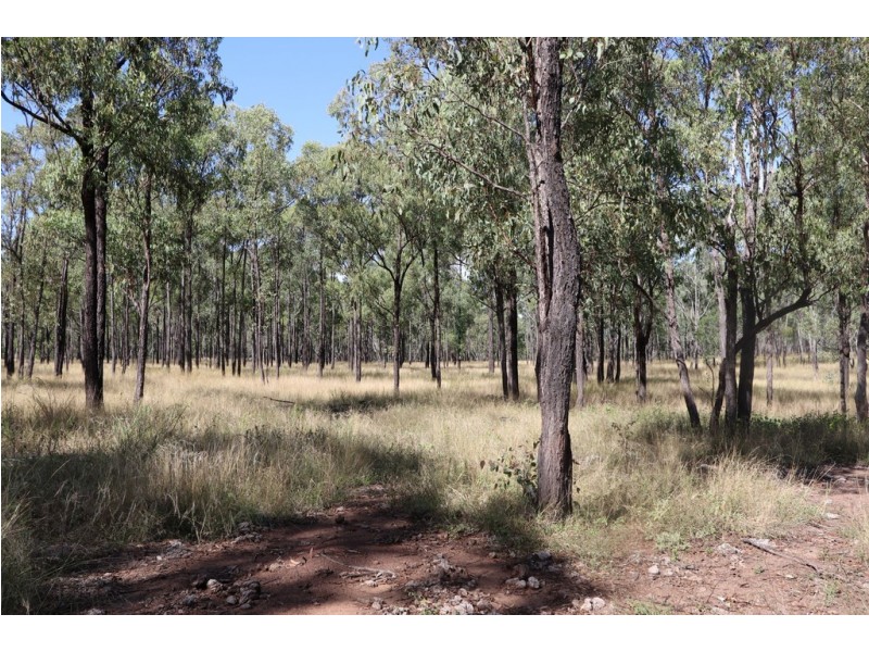 337 Dalcalmah Road, Canoona QLD 4702