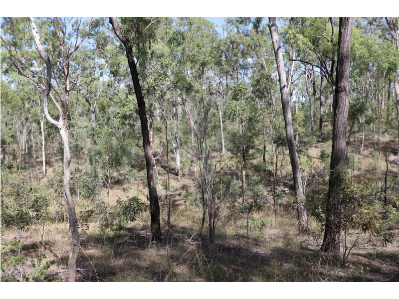 337 Dalcalmah Road, Canoona QLD 4702