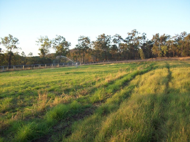 337 Dalcalmah Road, Canoona QLD 4702