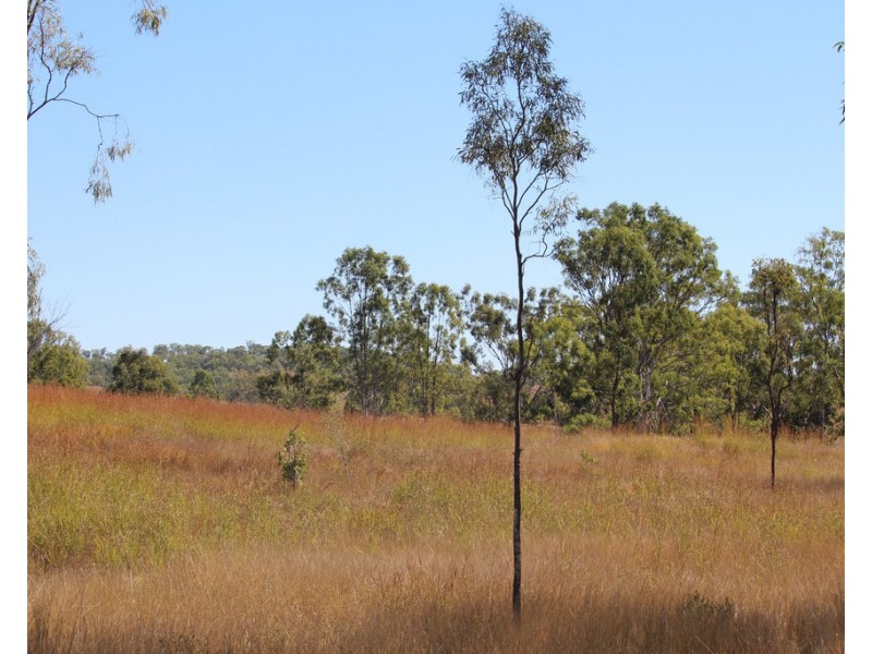 1160 Mount Alma Road, Bracewell QLD 4695