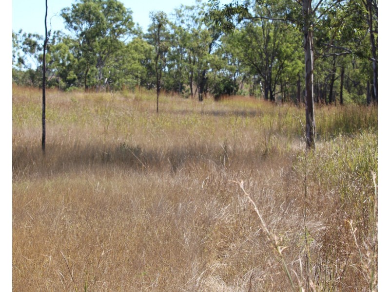 1160 Mount Alma Road, Bracewell QLD 4695