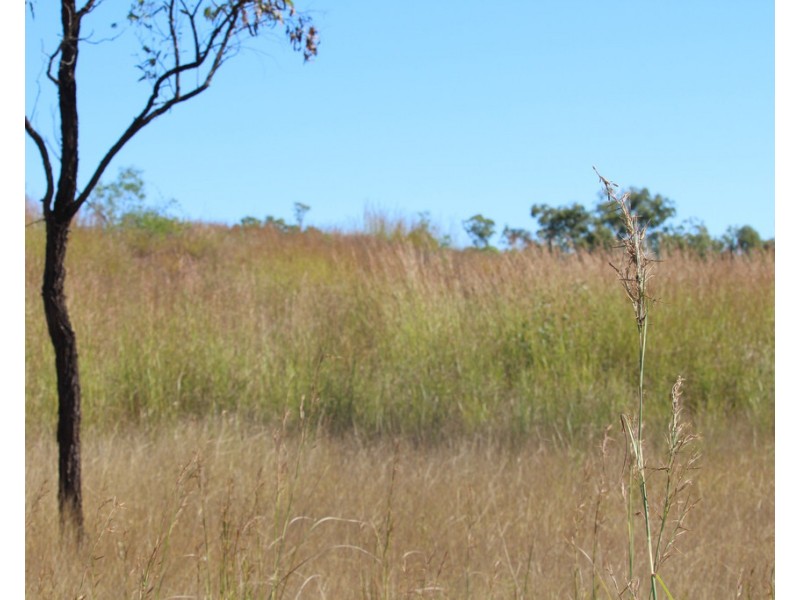 1160 Mount Alma Road, Bracewell QLD 4695