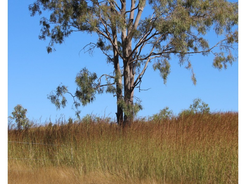 1160 Mount Alma Road, Bracewell QLD 4695