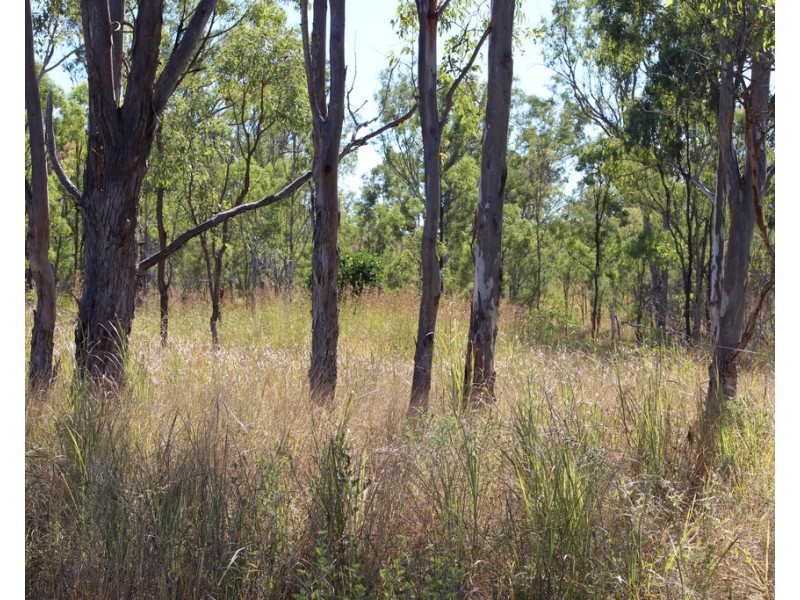 1160 Mount Alma Road, Bracewell QLD 4695