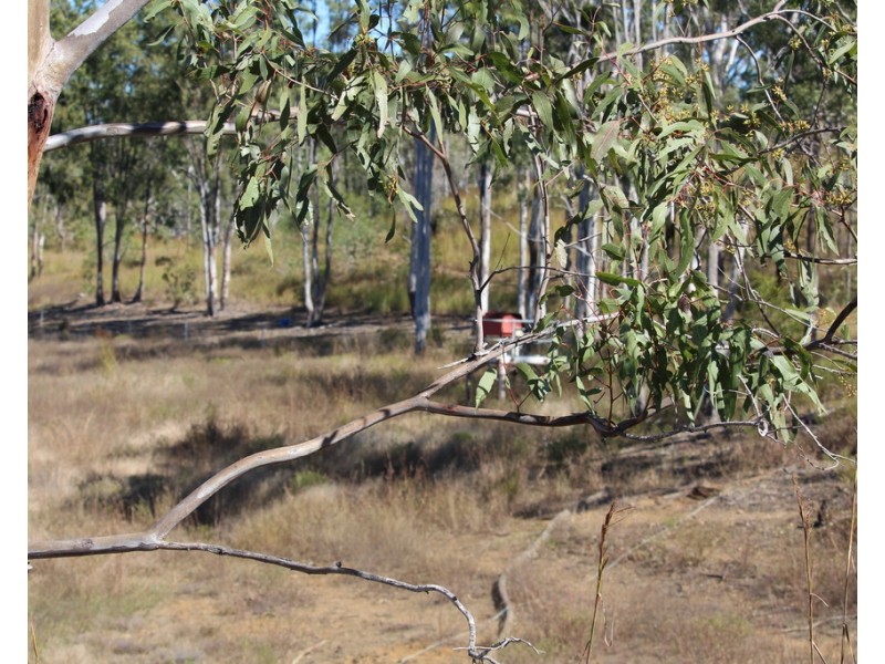 1160 Mount Alma Road, Bracewell QLD 4695