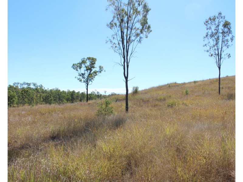 1160 Mount Alma Road, Bracewell QLD 4695