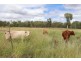 6301 Capricorn Highway, Gogango QLD 4702